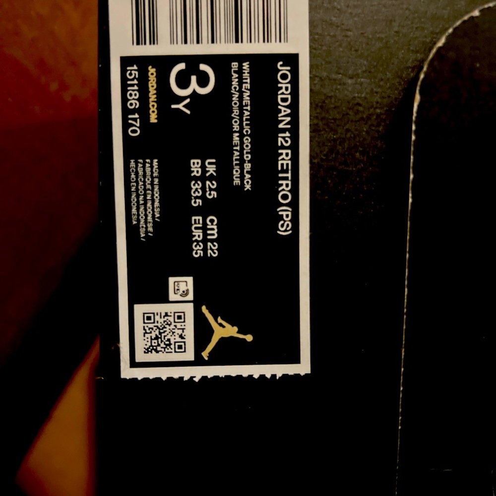 Jordan 12s “Royalty”
